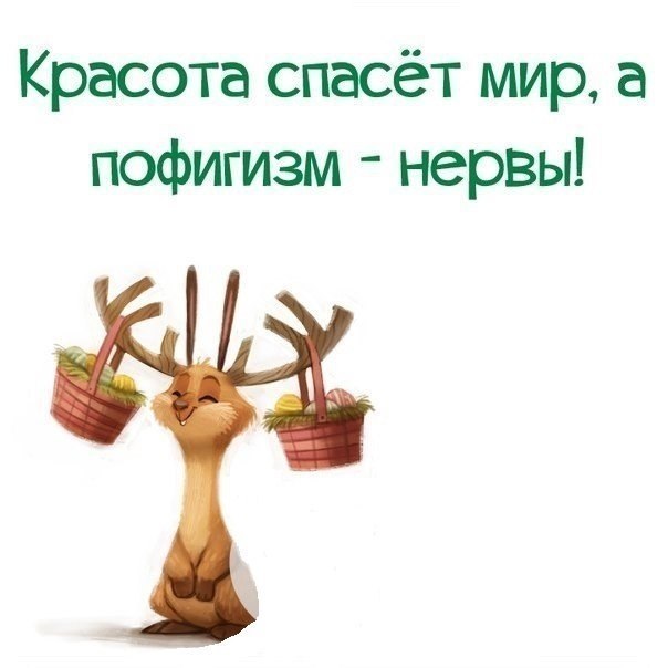 Красота спасет мир прикольные картинки, днем рождения тимура