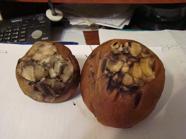 Рисунок 13 это... Что такое Рисунок 13?