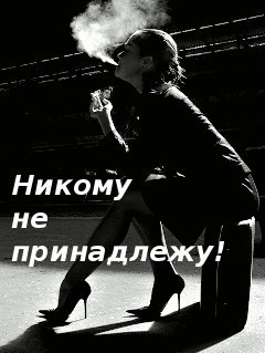 Яйцо, картинки с надписями женщина свободна