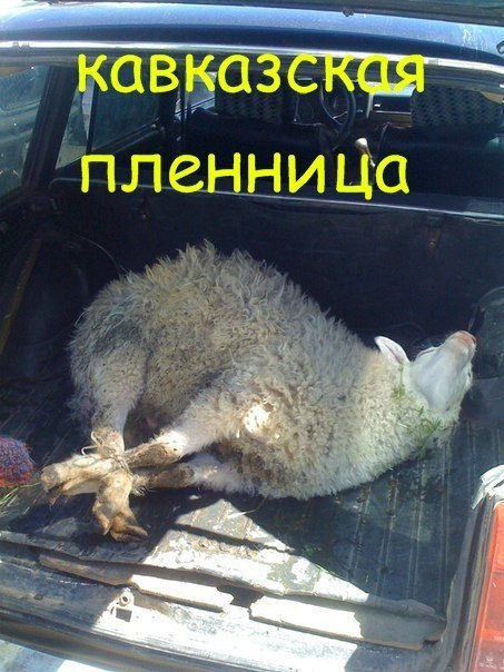 Свадьба, картинки приколы кавказ