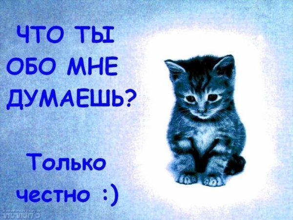 Открытка, прикольные картинки что ты думаешь обо мне