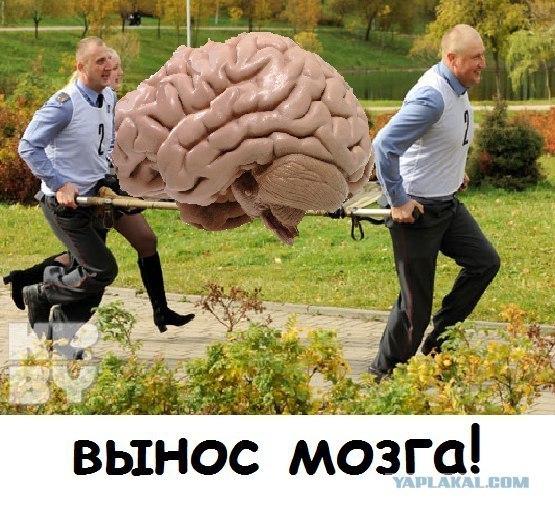 Днем, вынос мозга картинки прикольные