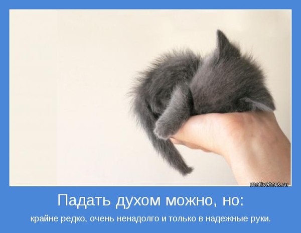 Картинки по запросу сильные духом любят походы