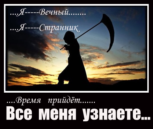 кролика картинки вечный странник этот