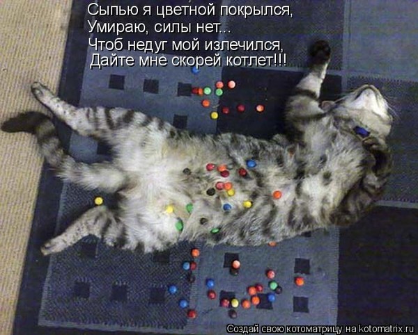 Прости, прикольные картинки не кисни