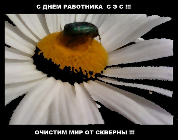 Любит, день санэпидслужбы открытки