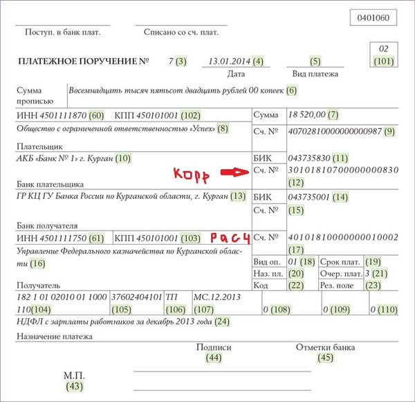 как правильно заполнить платежное поручение на счет 40201 лучше всех, среди
