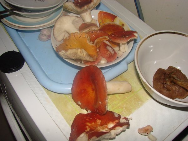 Пищевые цветы для украшения. Как почистить маслята. Как приклеить сахарную картинку. Съедобные букеты для мужчин. Физалис съедобный букет.