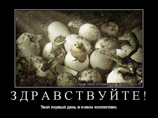 Прикольные картинки про работу бесплатно (35 фото) 16 Прикольные картинки про работу бесплатно (35 фото) 20