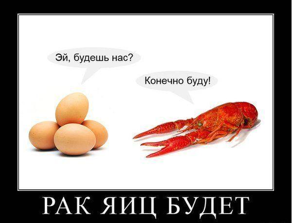 Смешные мемы про онкологию Ответы Mail.ru: Если ИКРА-это рыбьи яйца,значит ЯЙЦА-это куринная икра! Это что 