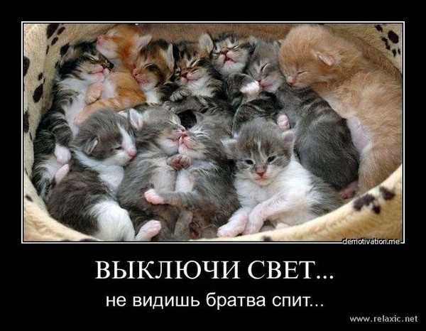 Отключили свет прикольные картинки