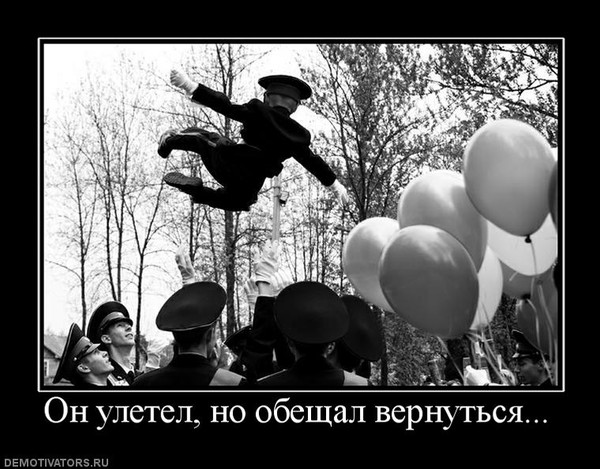 Свинья 2019, он улетел но обещал вернуться картинки прикольные