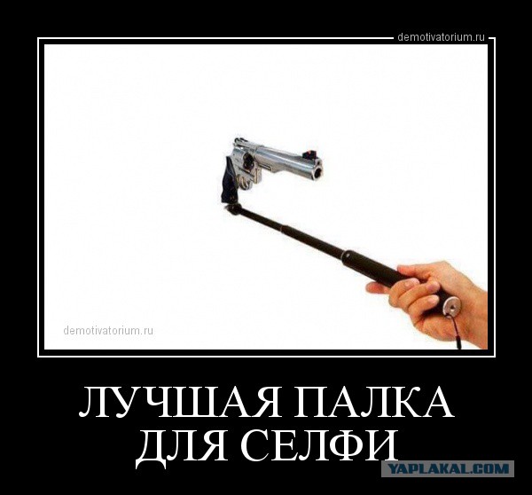 Мем палку палку давай