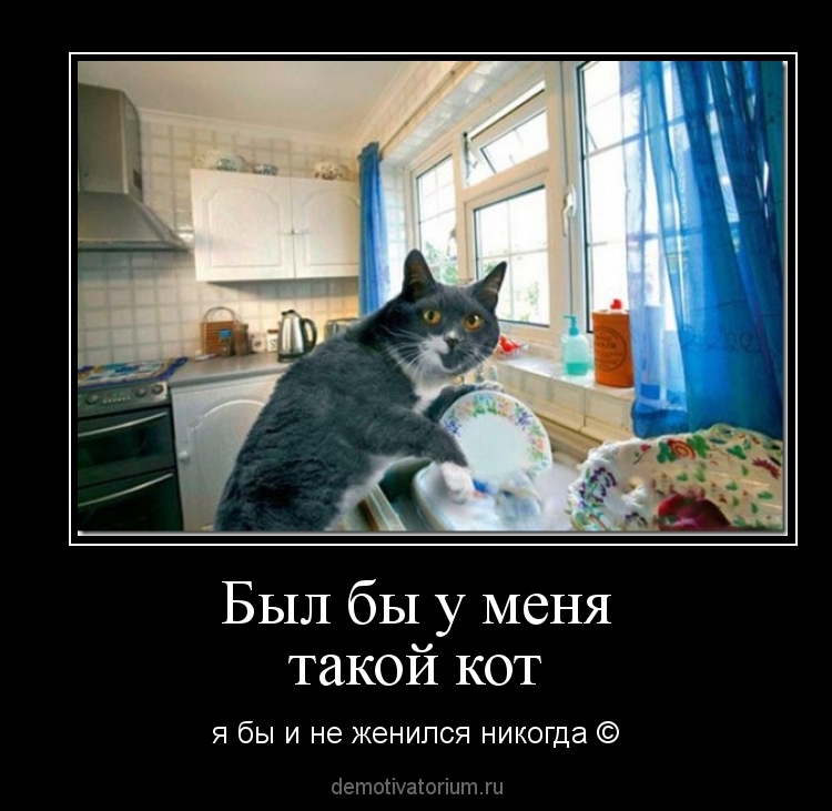 Ответы Mail.ru: Для чего нужны коты?