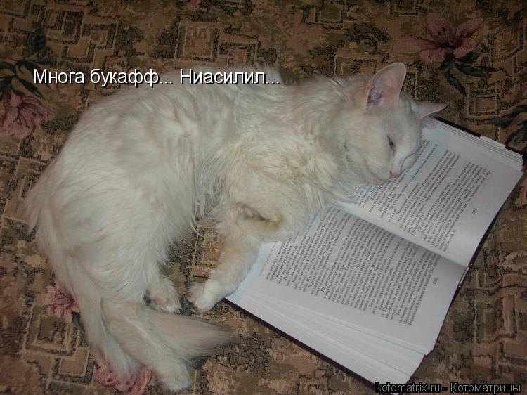 Rag days мемы. слишком много букв больше трёх не перевариваю. слишком много букаф. тёма с днём рождения. мемы слишком много.