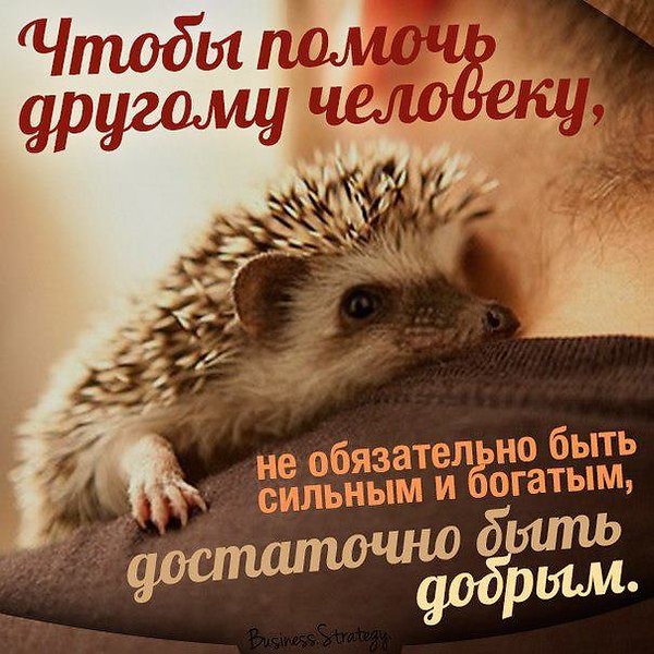 Комиксы, открытки я всегда помогут