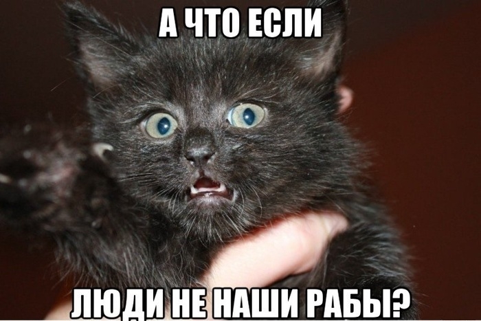 Хочешь манипулировать людьми мем