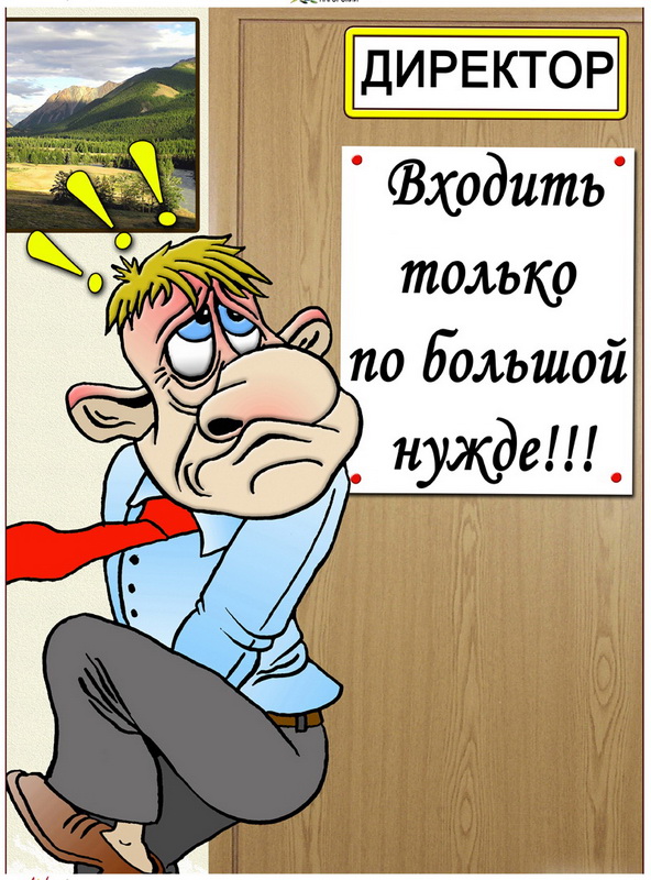 Прикольные картинки в кабинет начальнику