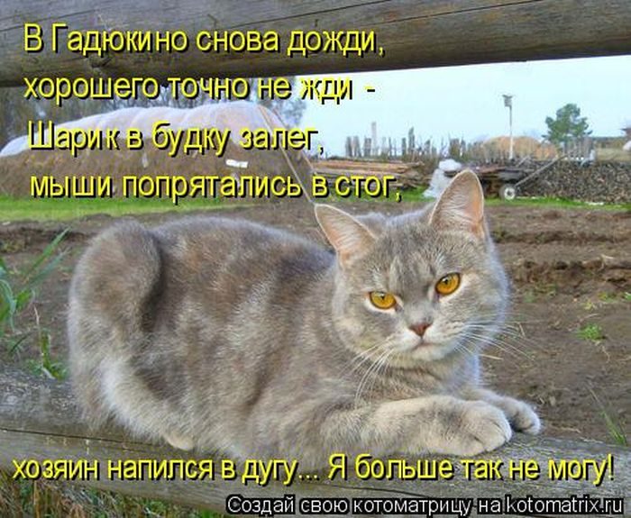 Картинки прикольные дождь опять дождь, картинки деда мороза