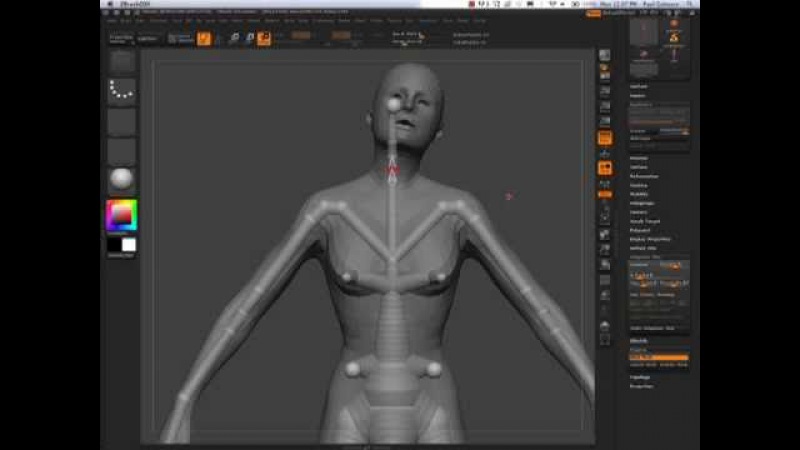 Rigging tutorial. 1 rigging.