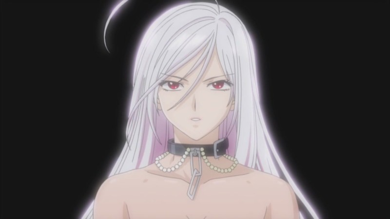 Anime similar to rosario vampire