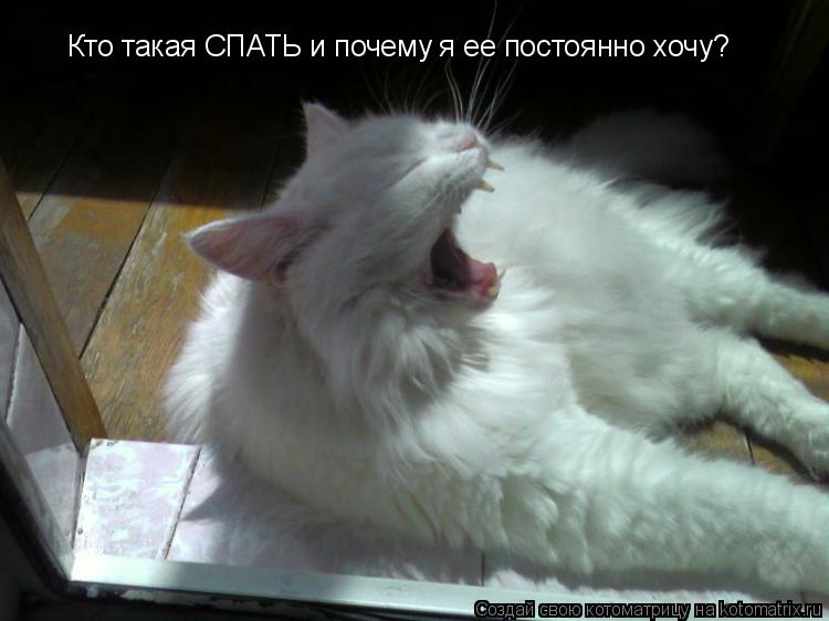 Открытки хватит сидеть в интернете пора спать, открыток цветами корзинах