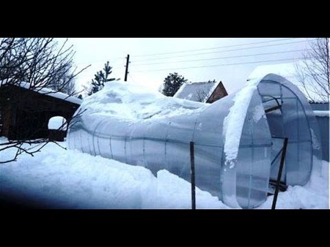 Как построить теплицу для зимнего выращивания своими…