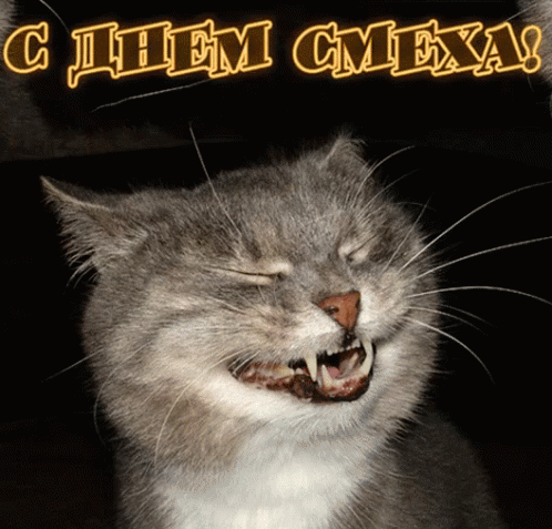 Теперь я без хохота вспомнить не могу