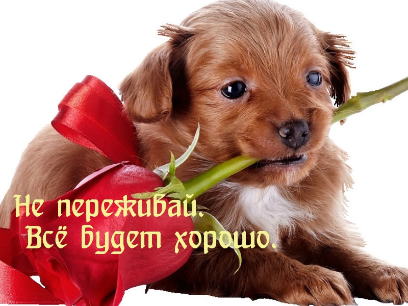 Открытки все будет хорощо, утро картинки