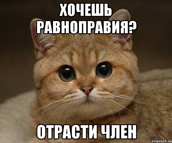 Хочешь покажу пенис мем