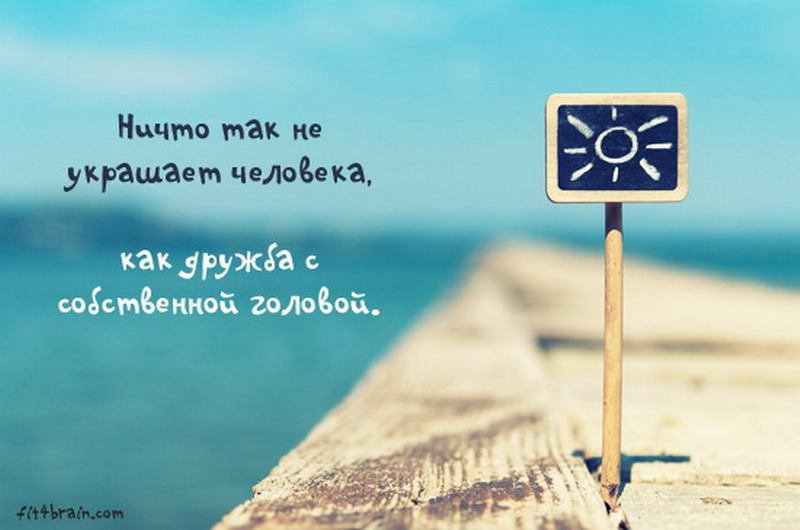 пословицы. фразы про скромность. что украшает человека ответ. ничто не украшает человека как дружба с собственной головой. открытки дружба с собственной головой.
