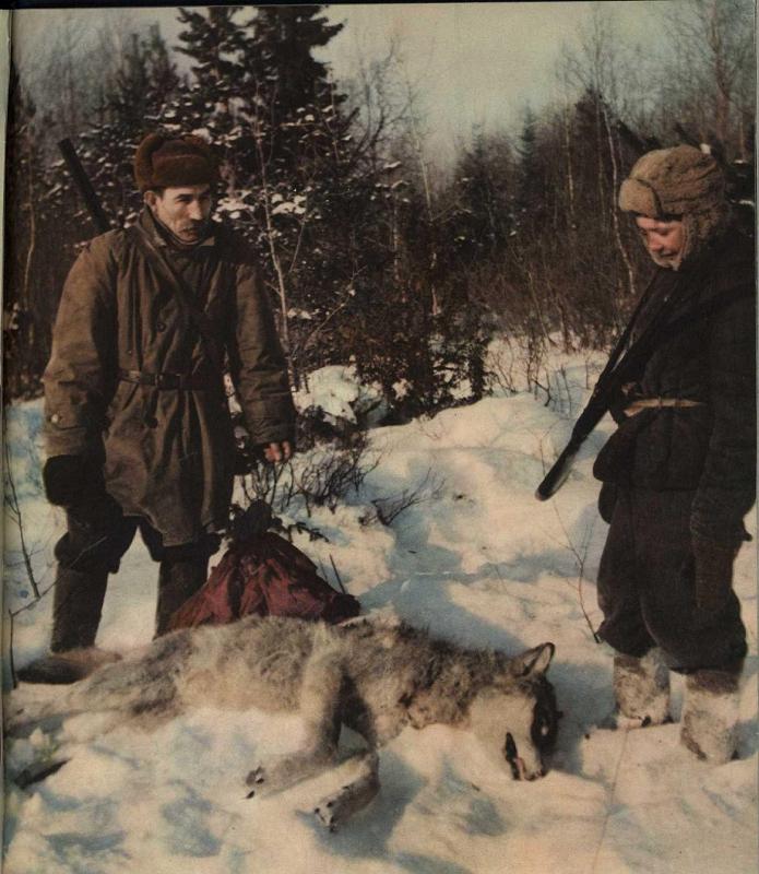 Охотник советская ул 1а стр 1 фото