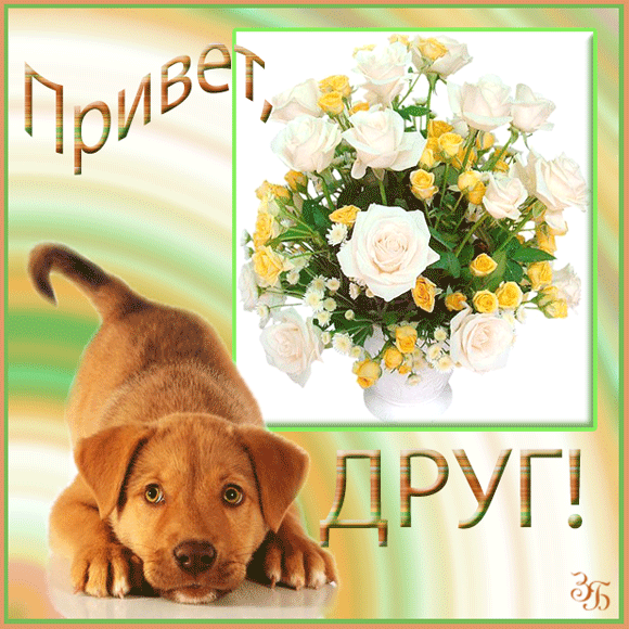 Месяцами, из всех лучший друг открытка