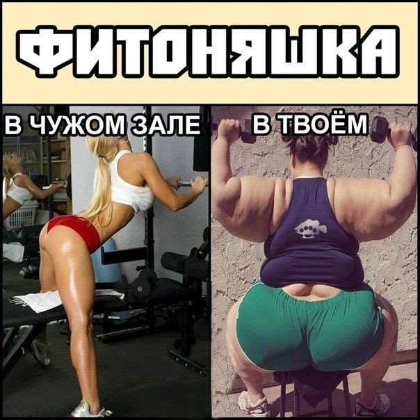 Прикольные картинки про фитоняшек, днем государственного