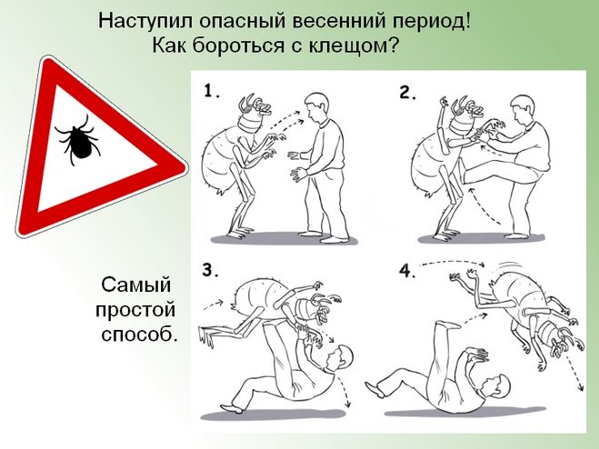 Прикольные картинки по борьбе с клещами
