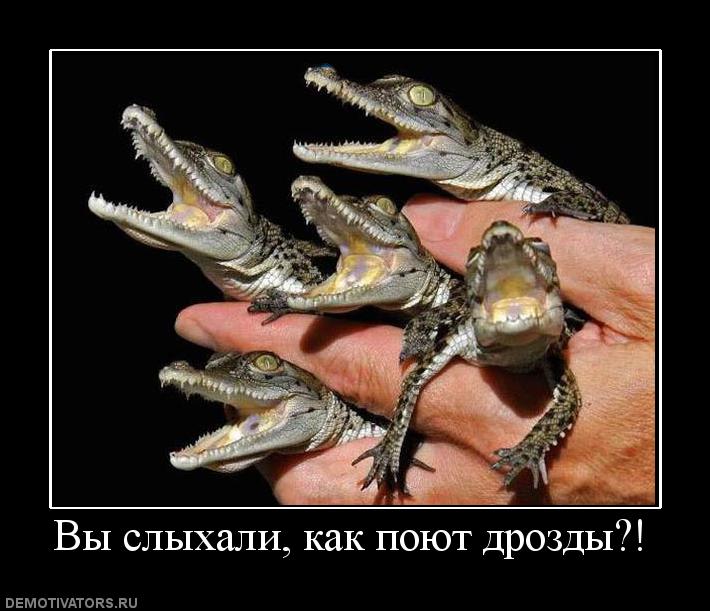 ВЫ СЛЫХАЛИ КАК ПОЮТ ДРОЗДЫ MP3 СКАЧАТЬ БЕСПЛАТНО ВЫ СЛЫХАЛИ КАК ПОЮТ ДРОЗДЫ MP3 СКАЧАТЬ БЕСПЛАТНО
