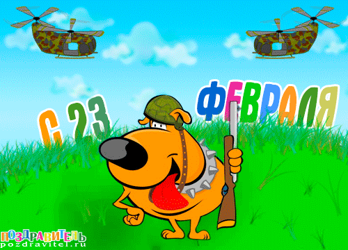 С днем защитника отечества с животными