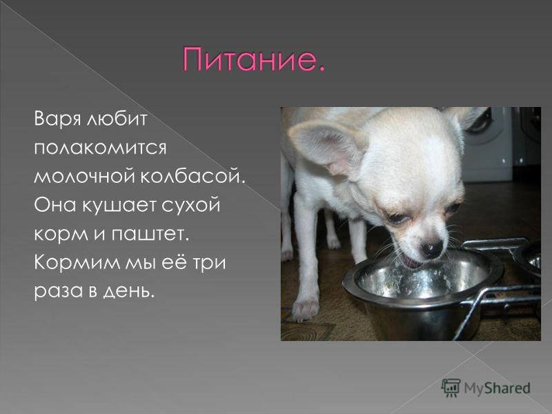 Почему варя. Имя варвара. Варя шутки. Имя варя. Тайна имени варвара.