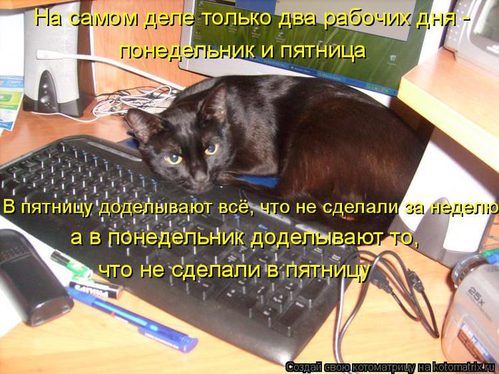 Красивой розой, открытки до пятницы осталось