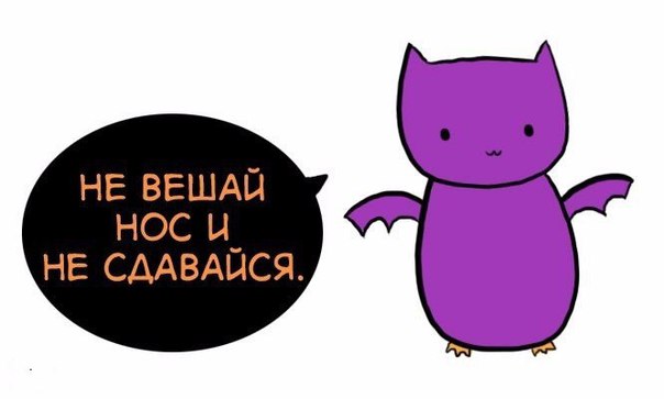 Картинки не вешай носа