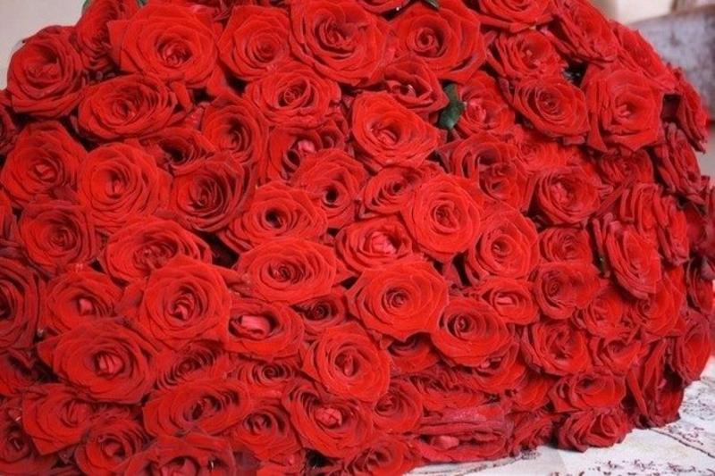 Открытка миллион алых роз букет, днем рождения мальчик