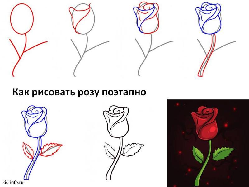 заря картинки роза как нарисовать легкостью предает свою