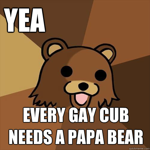 Gay papa bear and cub