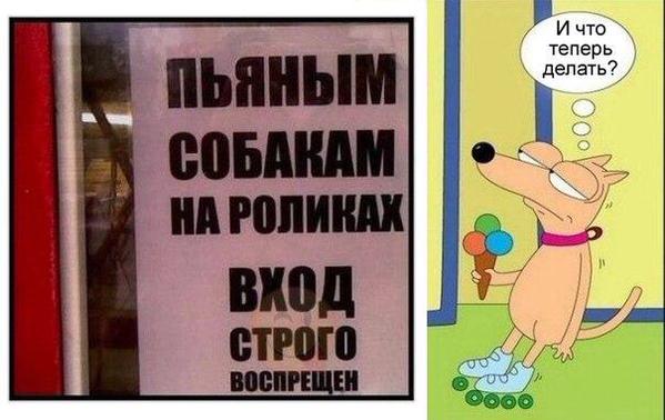 Мем собака на роликах с мороженым