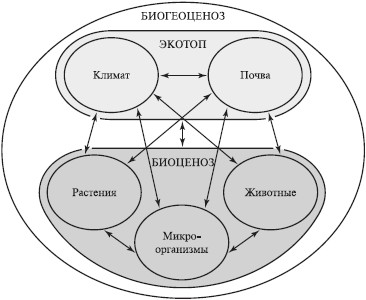 Связь биосферы с другими оболочками земли схема фото 975