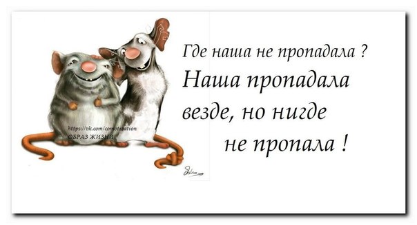 Картинки прикольные, открытки где наша не пропадала