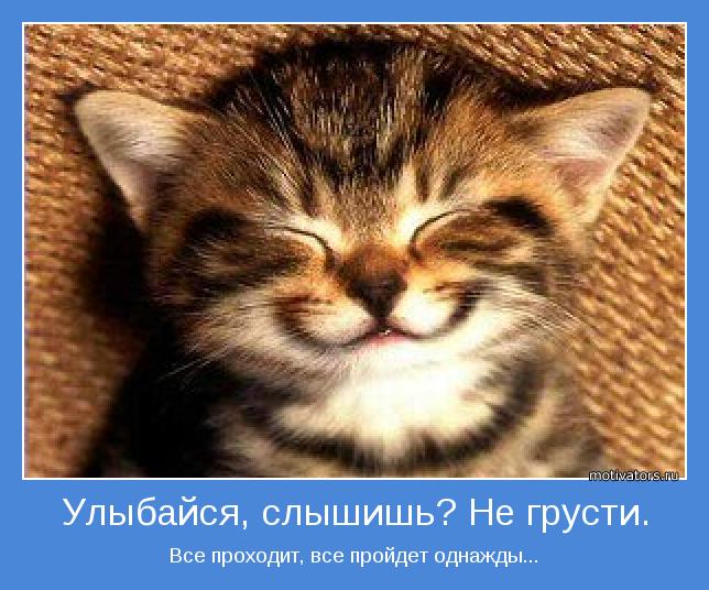 Сдохни картинки прикольные