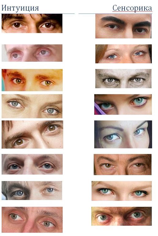 Сенсорики логики. Сенсорика и интуиция. Взгляд интуита и сенсорика. Сенсорика и интуиция. Сенсорика и интуиция.