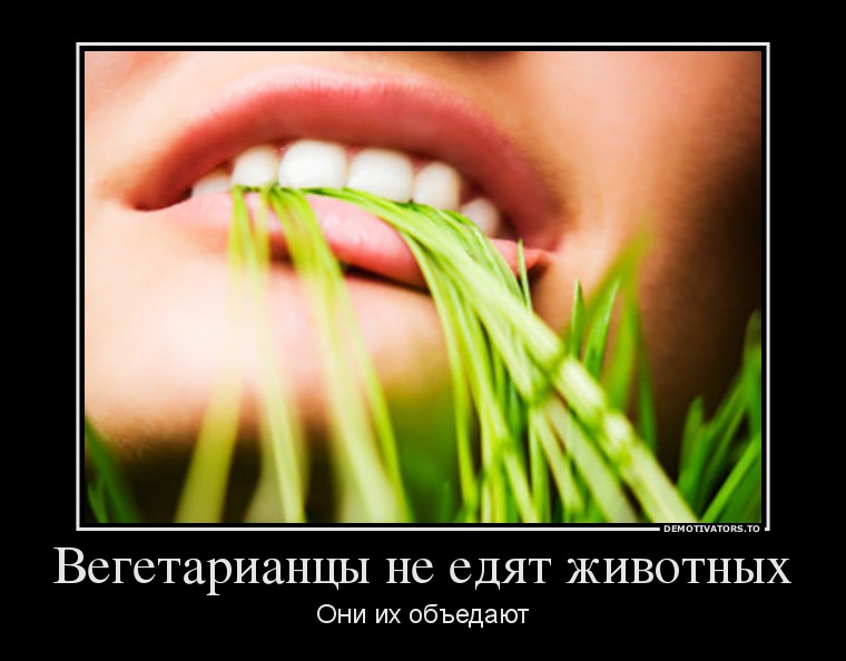 Смешные картинки вегетарианцев