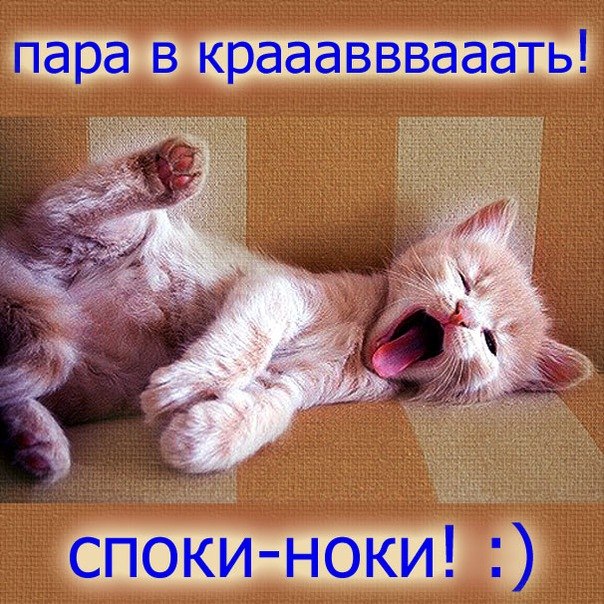 Ставропольская 17 москва выселение открытки споки ноки открытки с октябрем